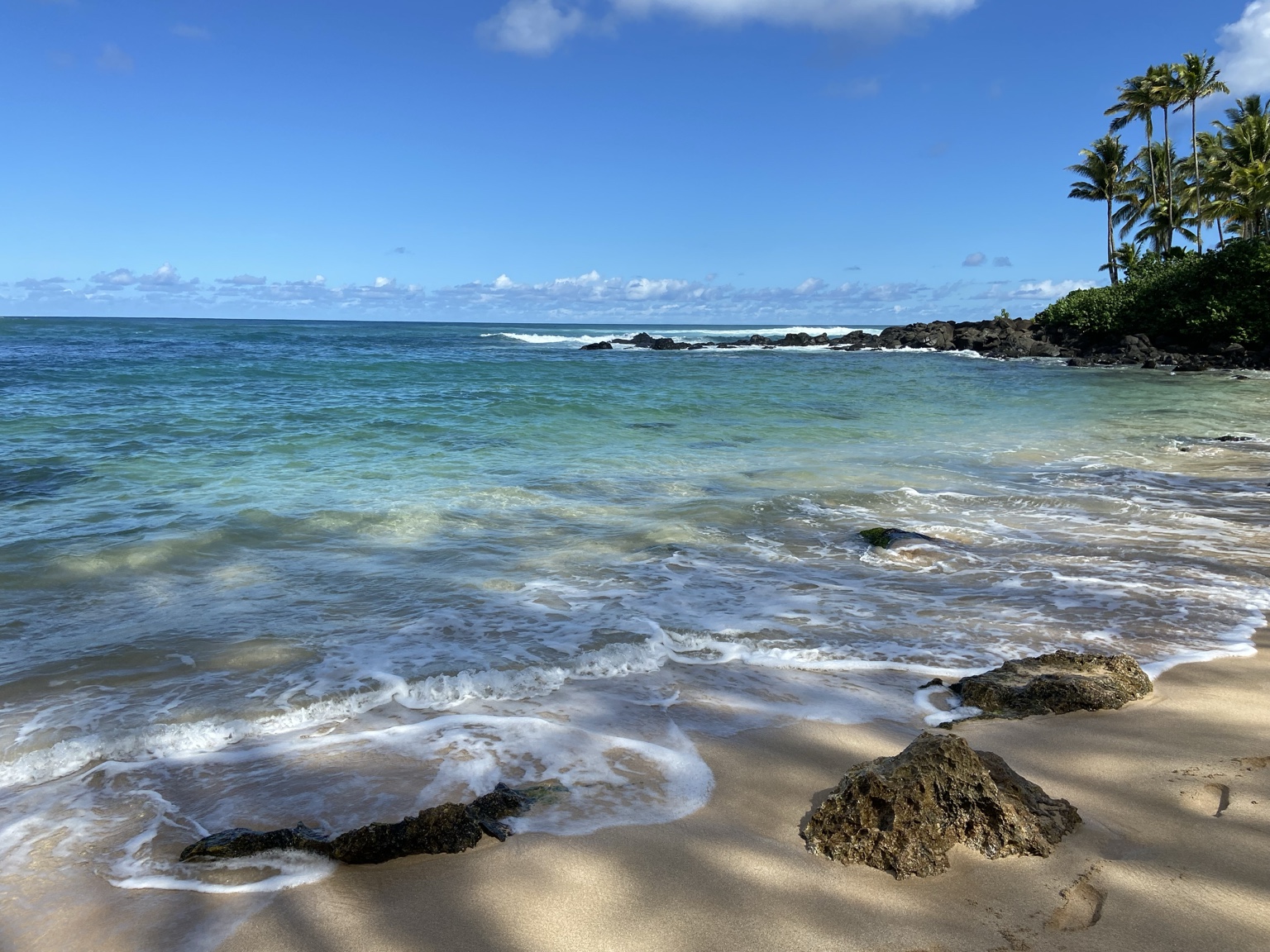 Planning a Trip to Hawaii: A Step-by-Step Family Guide (2026)